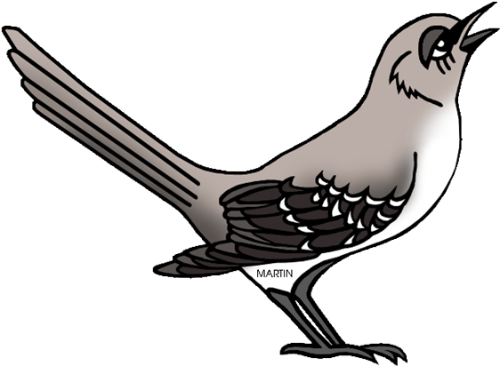 Ptáci - Školákov - Mockingbird Clipart (640x480)