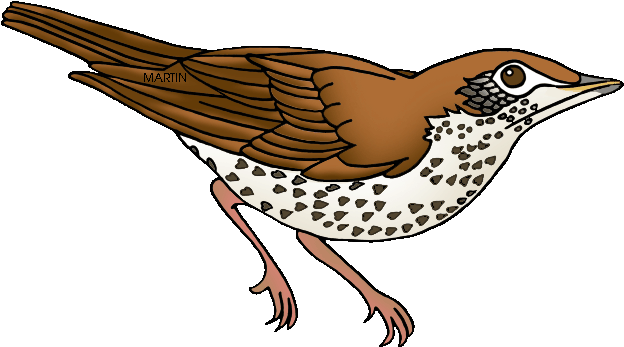 District Bird Of Washington Dc - Washington Dc State Bird (648x373)