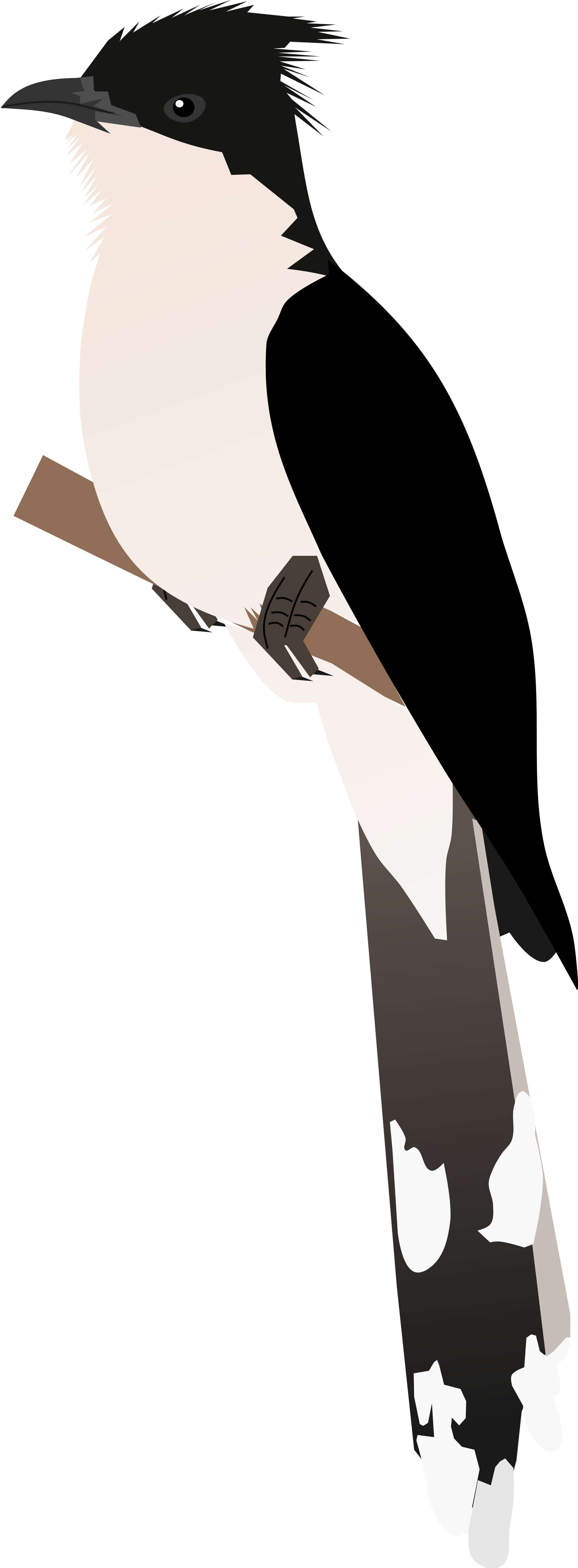 Open - Belt (2000x5420)