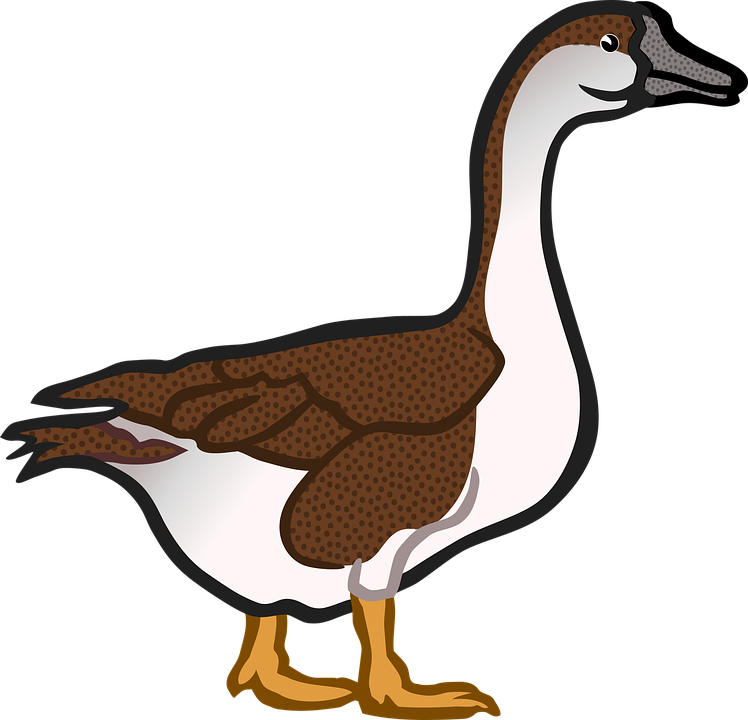 Brown Cuckoo Cliparts 7, - Goose (774x750)