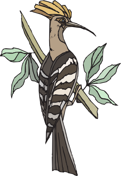 Vektor Burung Hud Hud (414x599)