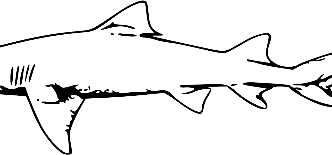 Great White Shark Clipart - Free Clip Art Black And White Shark (1366x768)
