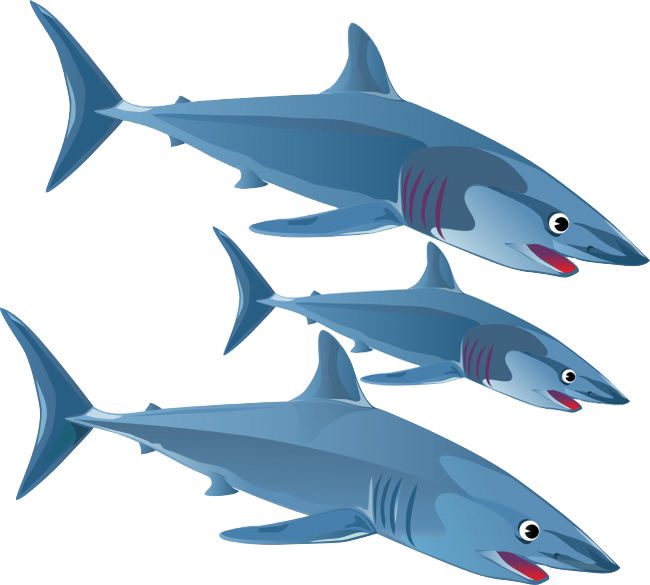 Blue Shark Great White Shark Clip Art - Blue Shark Great White Shark Clip Art (650x585)