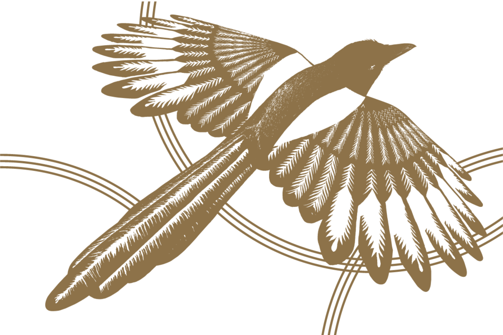 - Projects - Dress (1000x667)