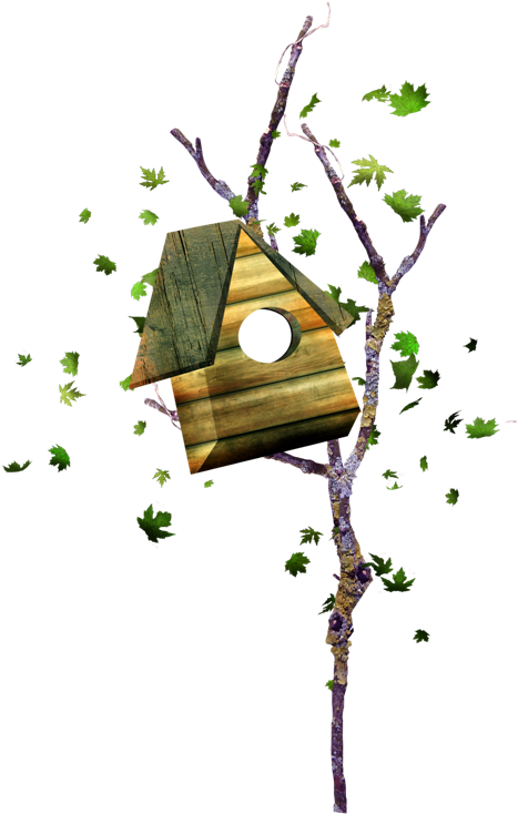 Nest Box Animation Clip Art - Клипарт Скворечник Png (493x768)