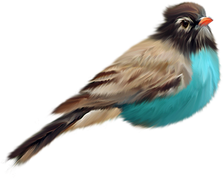 Bird Png - Bird Perched Transparent Background (500x500)