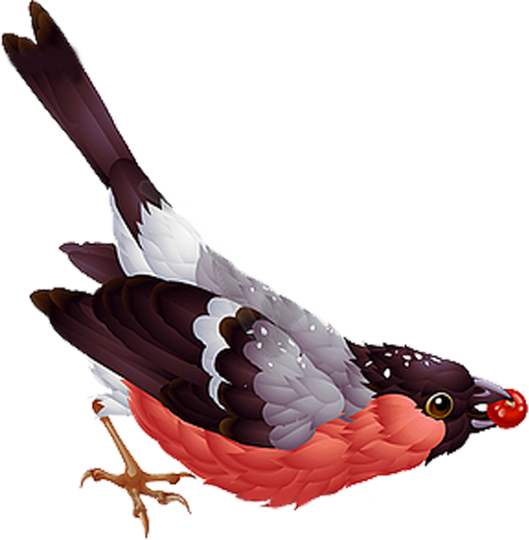 Изображение Для Плейкаста - Folk Art Birds Weekly Planner 2016: 16 Month Engagement (1059x1080)