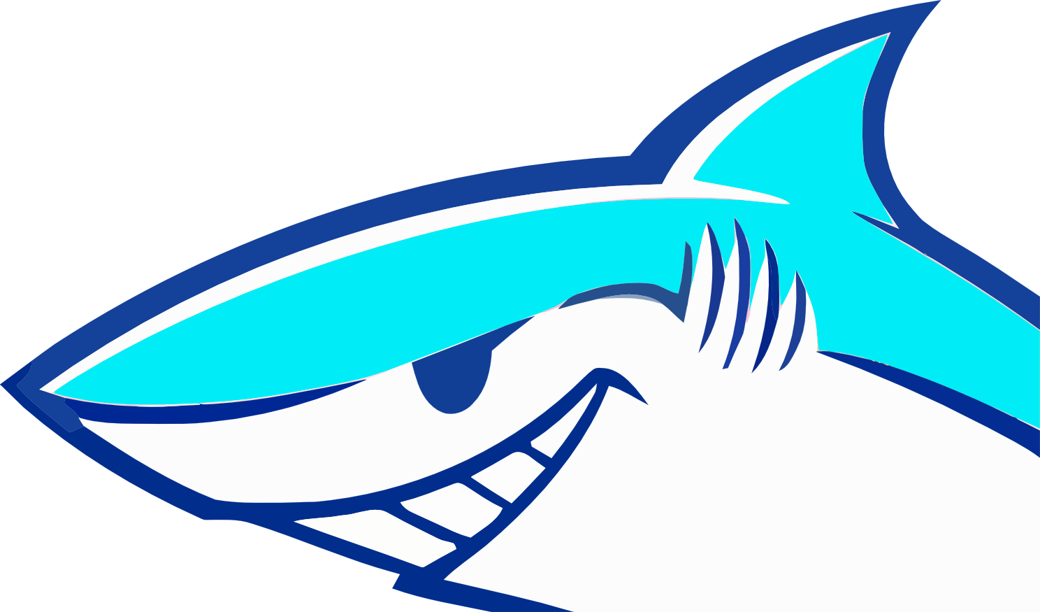 The Flash Card Has A Fucking Shark On It, What Other - Mixza Tohaoll Ocean Series 32gb (1488x875)