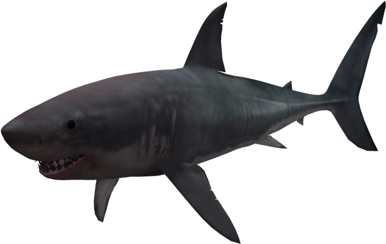 Shark Png - Shark (1024x639)