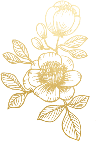 Free Scroll Border Clipart - Gold Flower Png (480x480)
