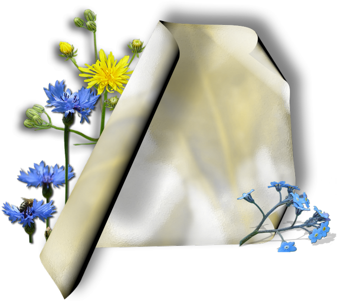 Parchments With Flowers - Parchment (700x618)