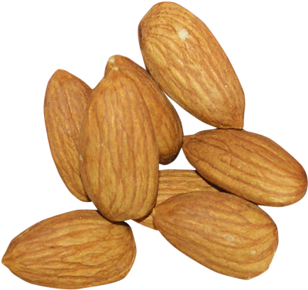Almond Png - Almond Png (500x456)
