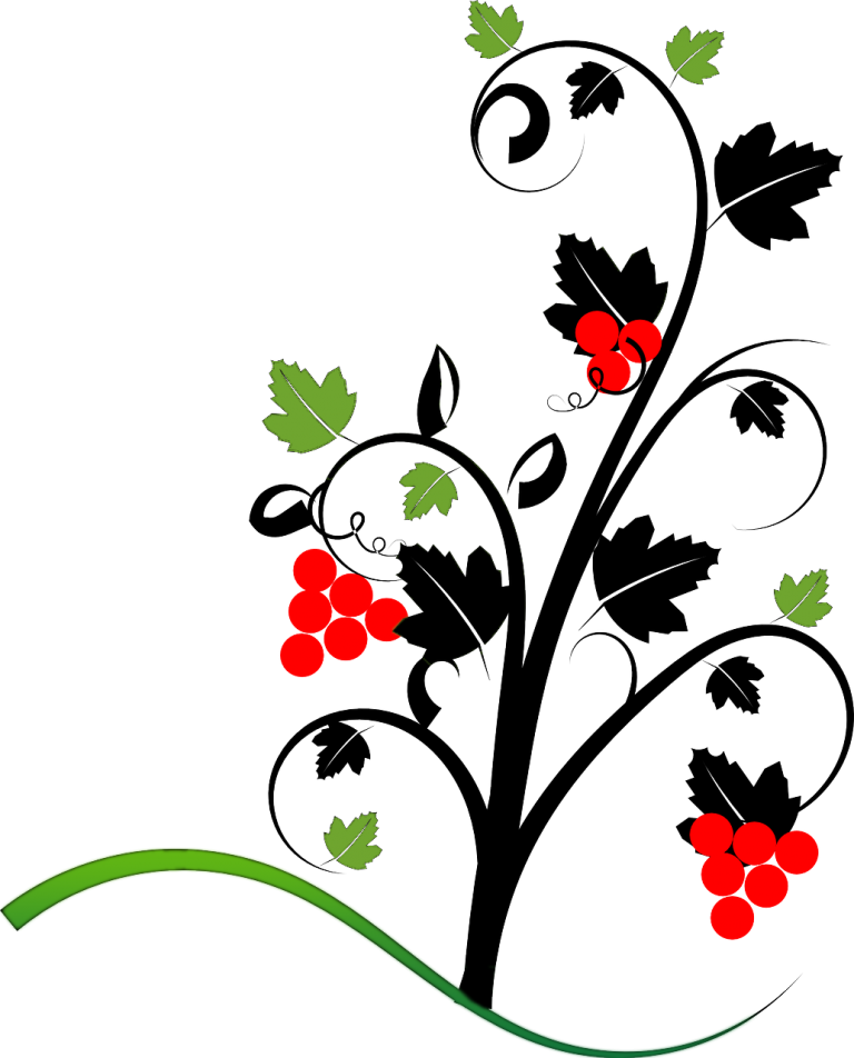 Vine Bible Psalm 27 T Shirt Clip Art - Geometric Vine (768x952)