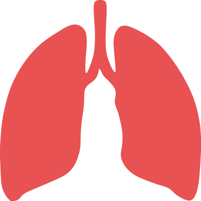 Respiratory Biomarkers - All Functional Health (400x400)