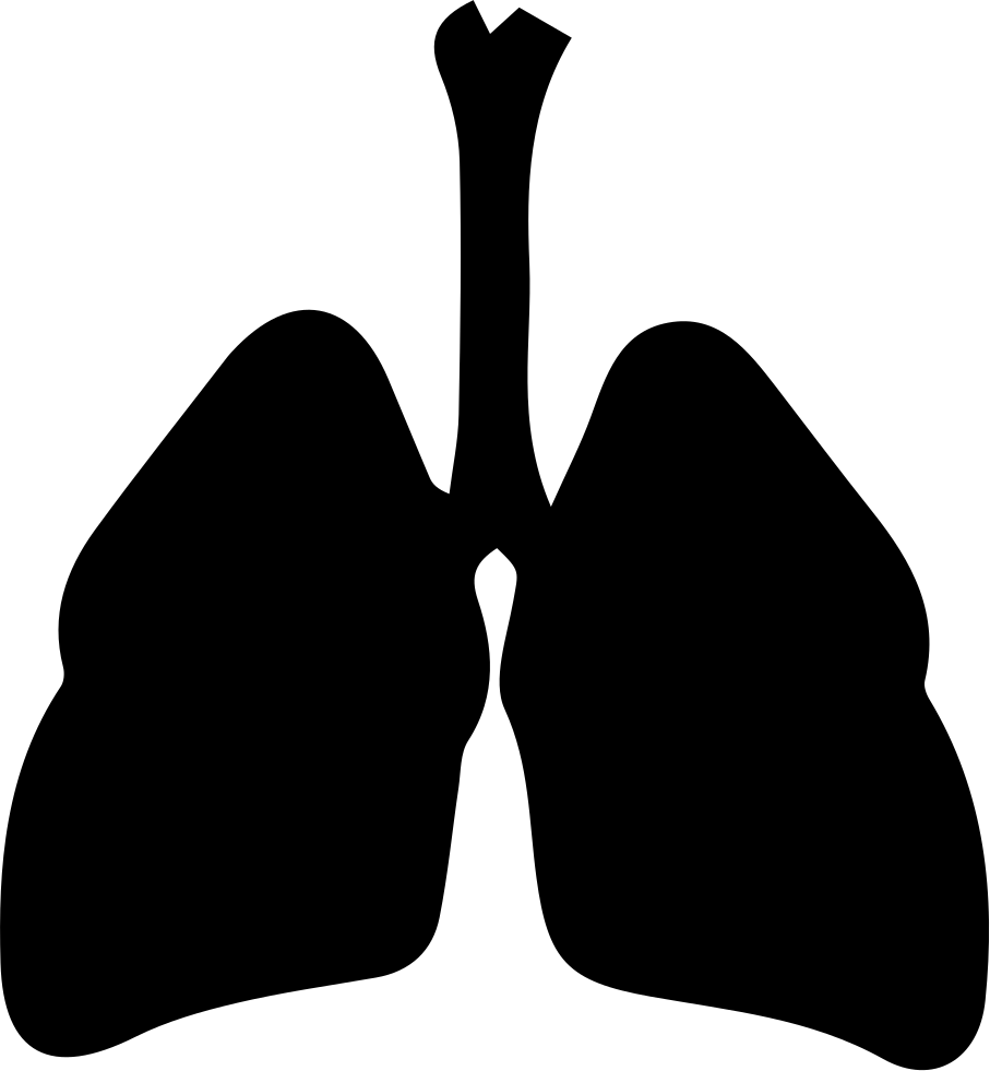Respiratory System Comments - Respiratory System Icon (907x981)