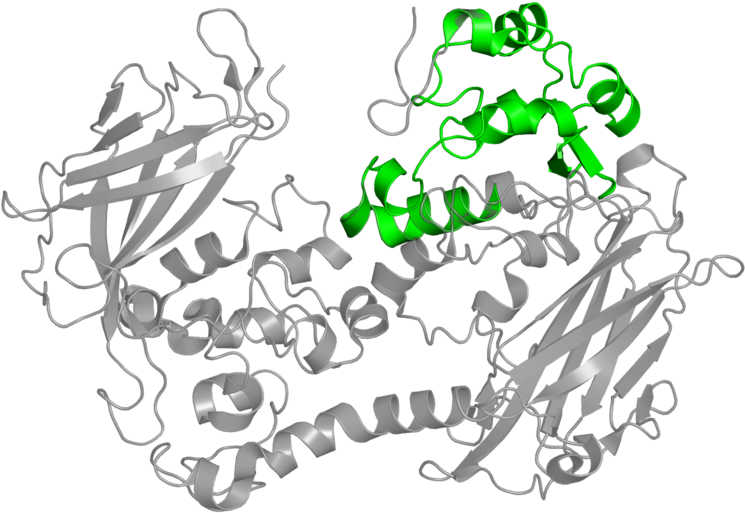 <div Class='caption-body'>1 Copy Of Pfam Domain < - Graphic Design (800x800)