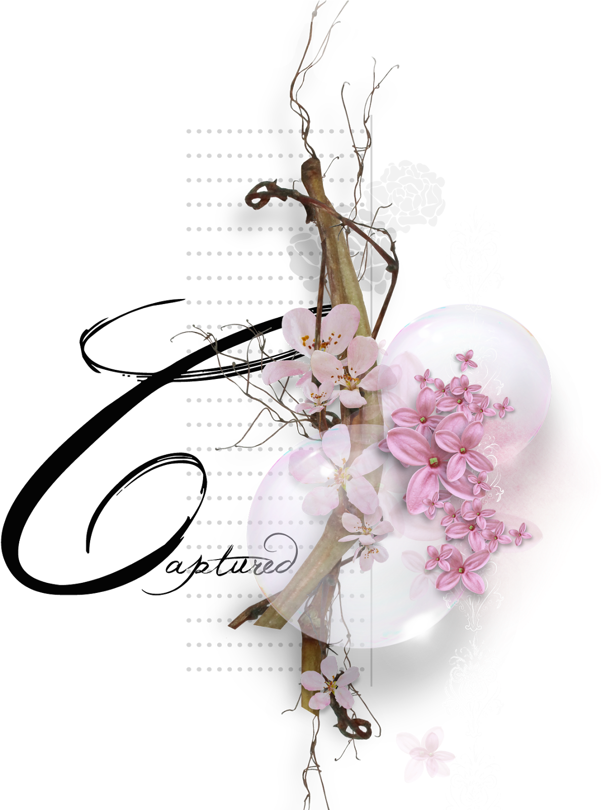 ＊flowers From Botanical Garden ＊ - Cherry Blossom (1252x1600)