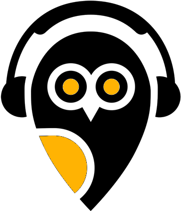 Senior C Developer - Melodious Owl (800x800)