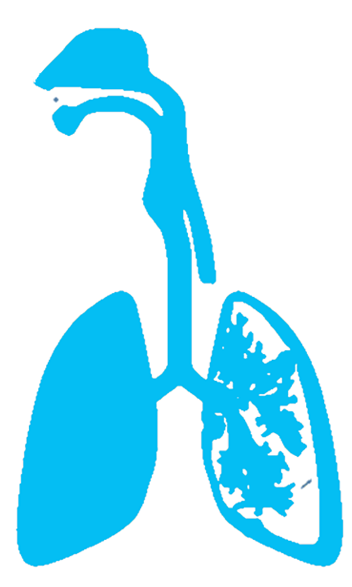 The Effects Of Sodium Chloride Aerosol On The Inferior - The Effects Of Sodium Chloride Aerosol On The Inferior (352x587)