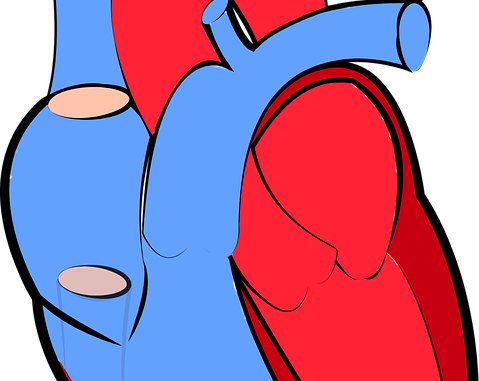 Pulmonary Artery Catheter Market - Heart Disease Symptom Blocking Immune Cell Migration (479x381)