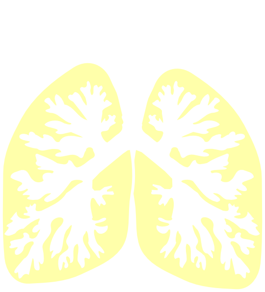 Lung Hp Tika Clip Art At Clker - Illustration (540x596)