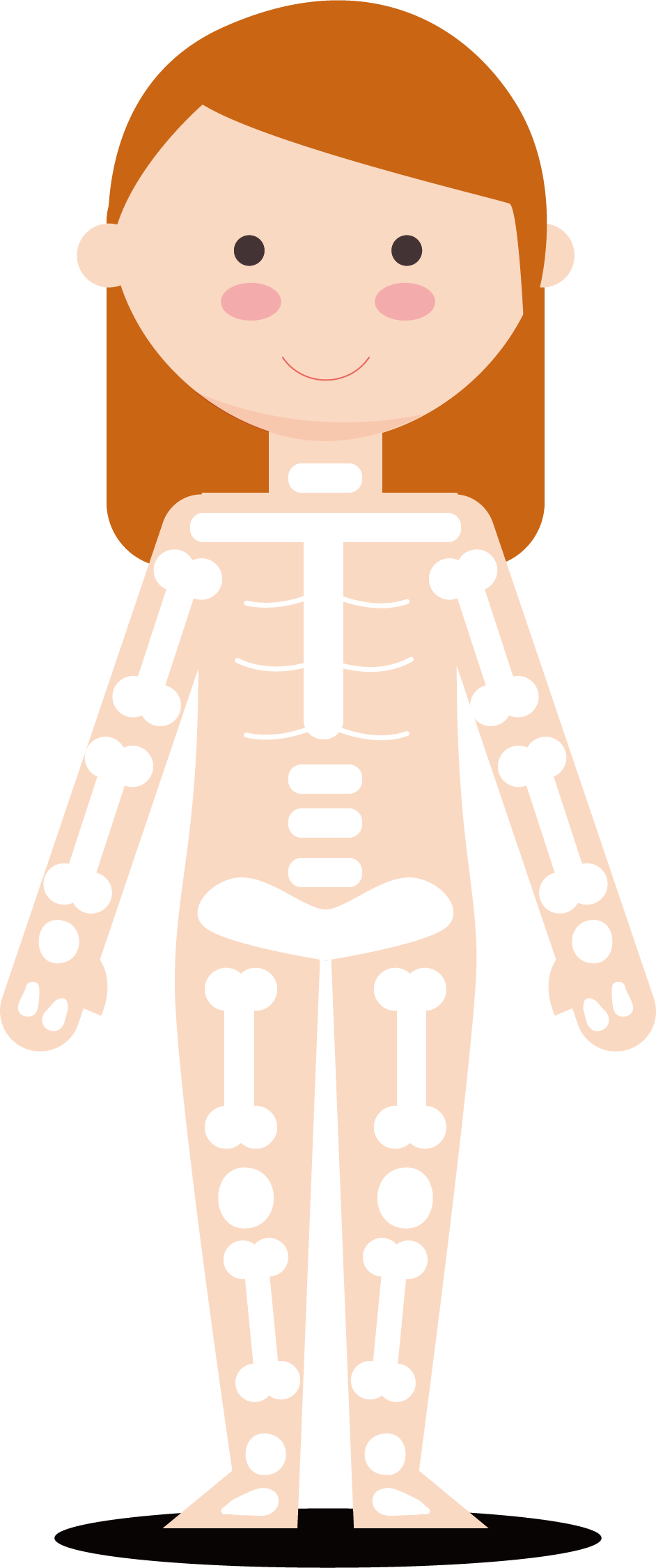 Vector Girl Skeleton - Smoking Lung Vector Png (942x2250)