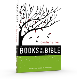 Community Bible Experience Books Of The Bible Covenant - Nirv, The Books Of The Bible For Kids: Covenant History: (328x367)