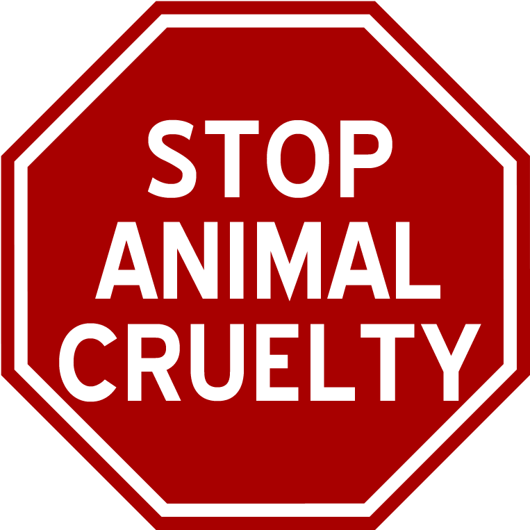 No Entry, Sign, Warning, Forbidden, Prohibited, Signage - Do Not Enter Sign Without Words (800x800)