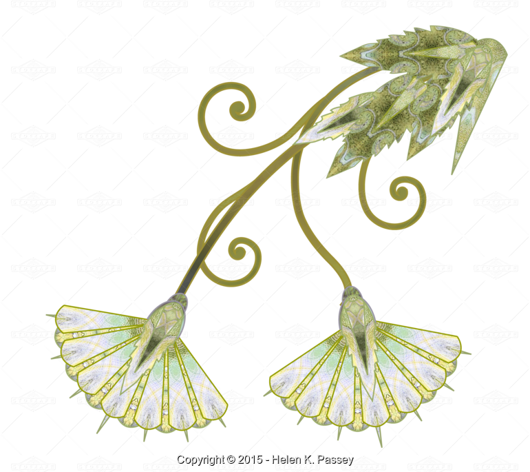 Photo Of Flower With Scrolls - Portable Network Graphics (770x685)