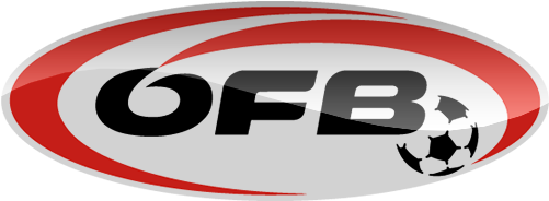 Austria Football Logo Png (500x500)