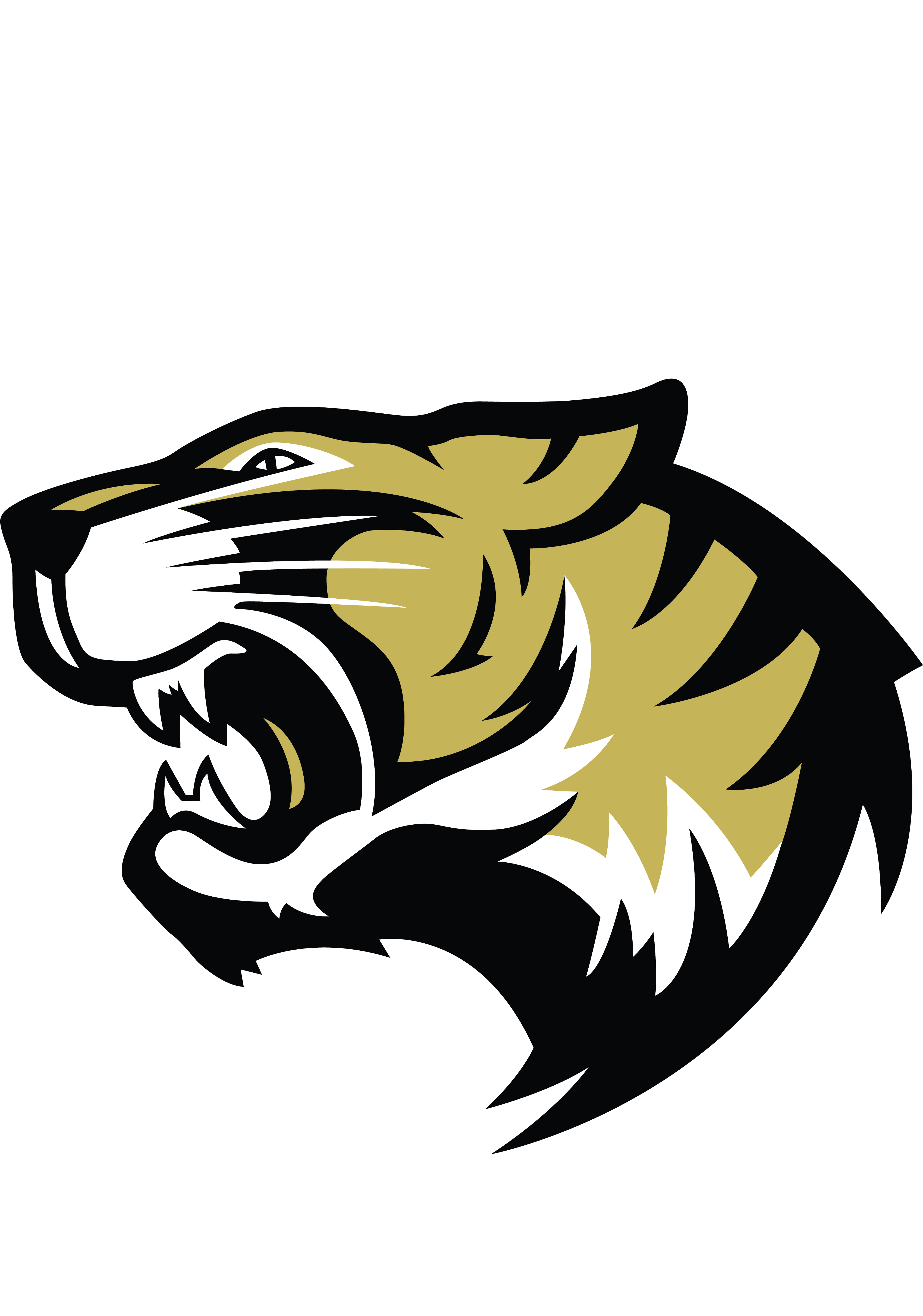 Logo Irving High School - Durham Wildcats (5067x4844)