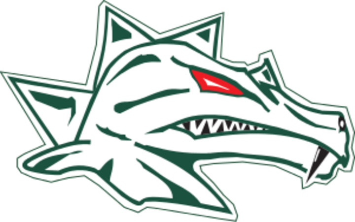 D - Danube Dragons Logo (720x451)