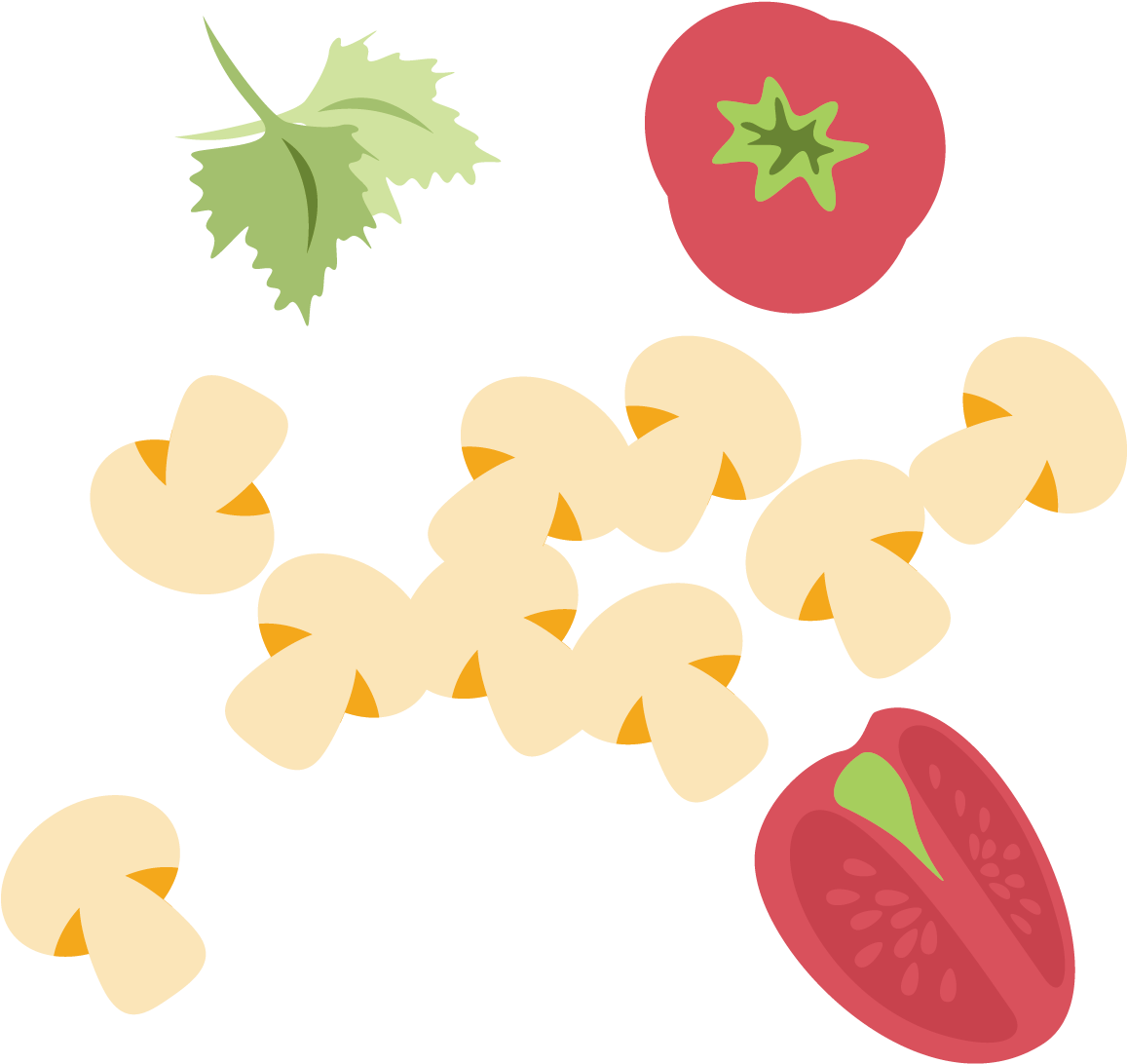 Flat Design Mushroom Tomato - Flat Design Mushroom Tomato (1240x1354)