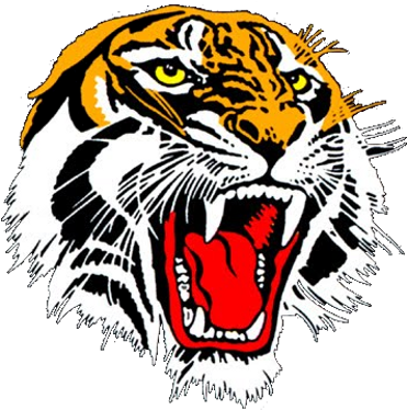 Tiger Flex Mascot Big Trans3 - Grovedale Football Club Logo (370x380)