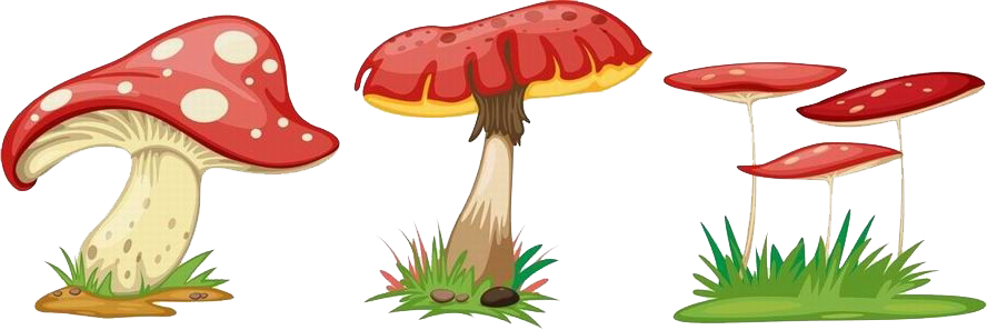 Fungus Cartoon Mushroom - Fungus Cartoon Mushroom (888x297)