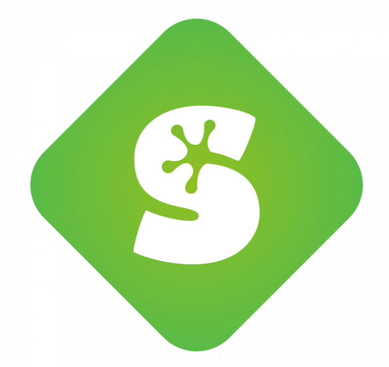 Full Time Senior / Lead Artist At Sproing In Vienna, - Sproing (800x754)