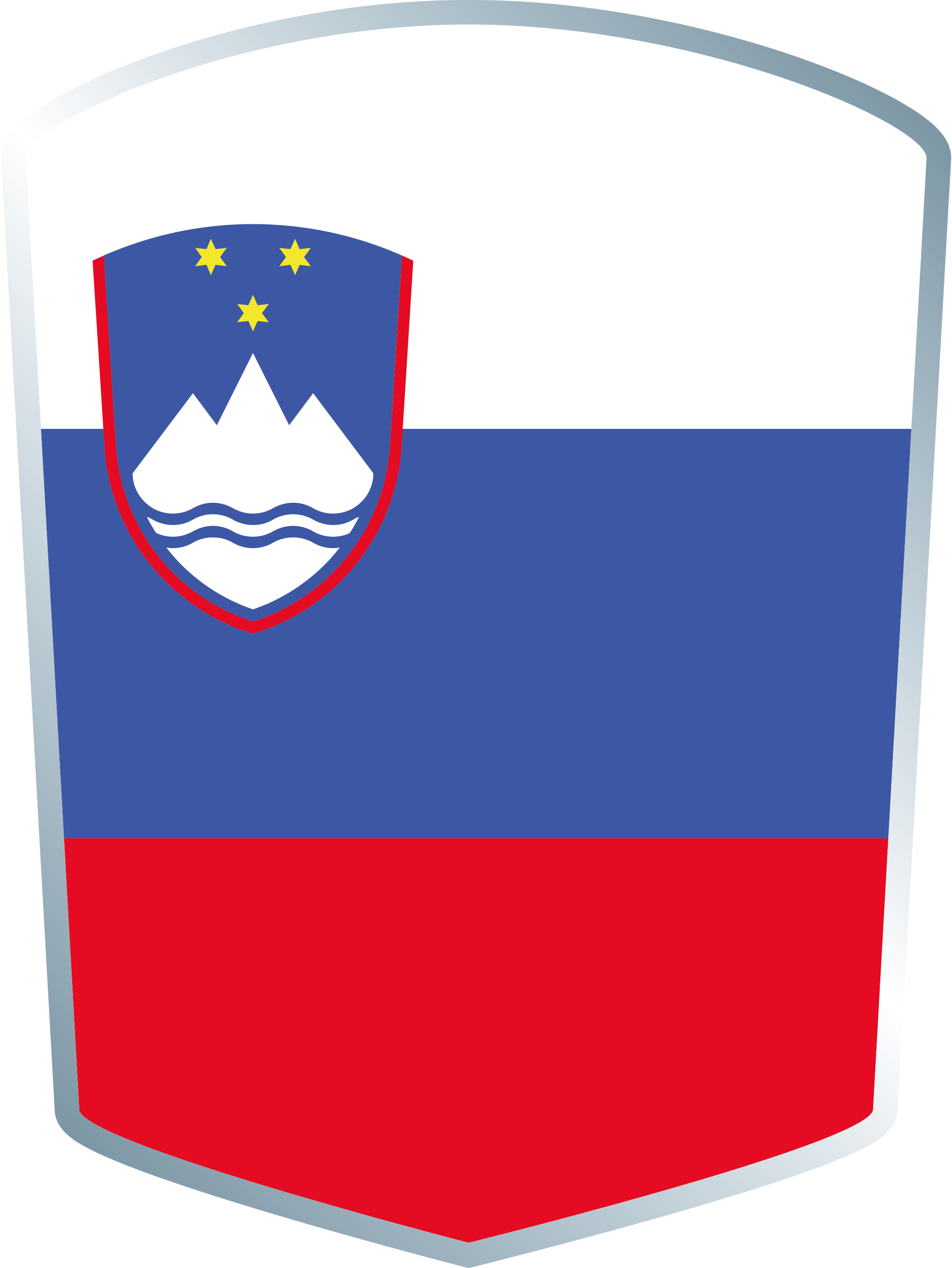 Austria - Slovenia - Slovenia Flag (2270x3024)