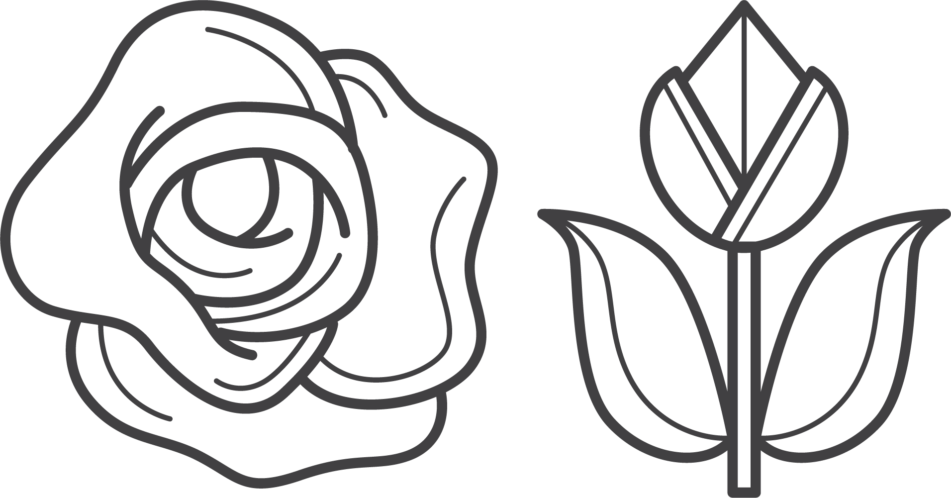 Beach Rose Flower Clip Art - Beach Rose Flower Clip Art (1912x1001)