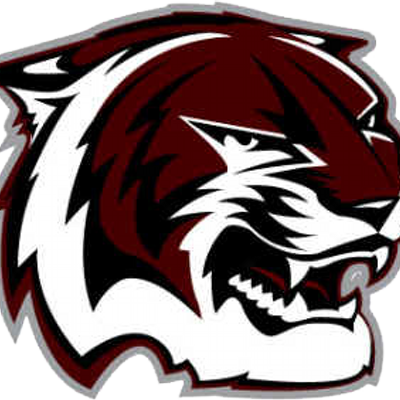 A&m Consolidated Hs - A&m Consolidated Tigers Logo (400x400)