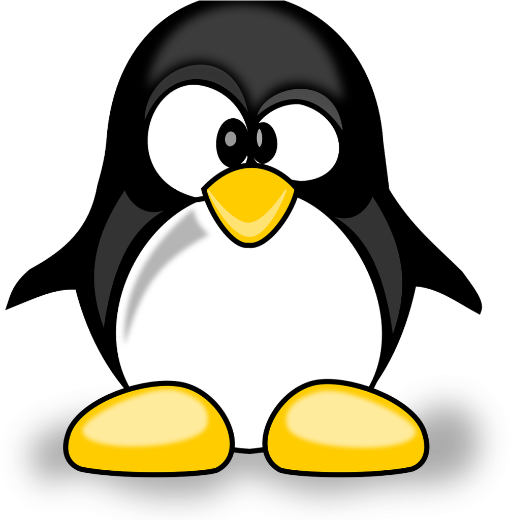 Google Algorithm Update Jan - Imagenes De Un Pingüino (1024x1024)