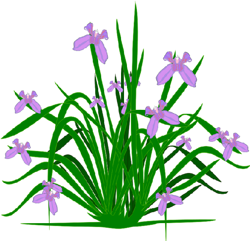 02 Aug 2016 - Plants And Flowers Clipart (512x512)