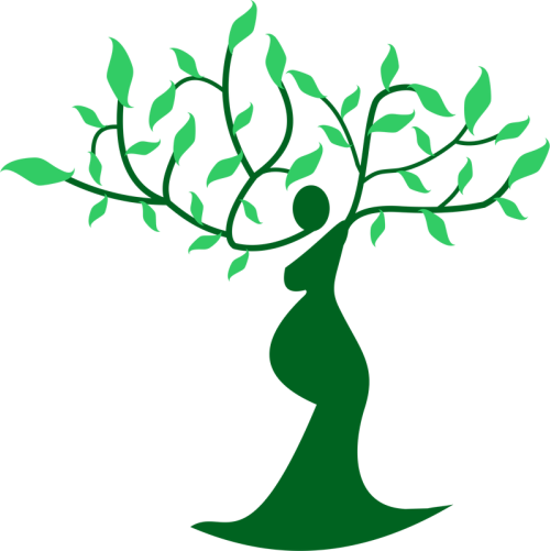 Herbal Arts (500x501)