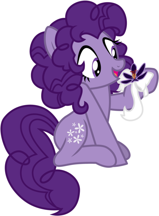 Blossom By Sunley - My Little Pony Blossom (894x894)