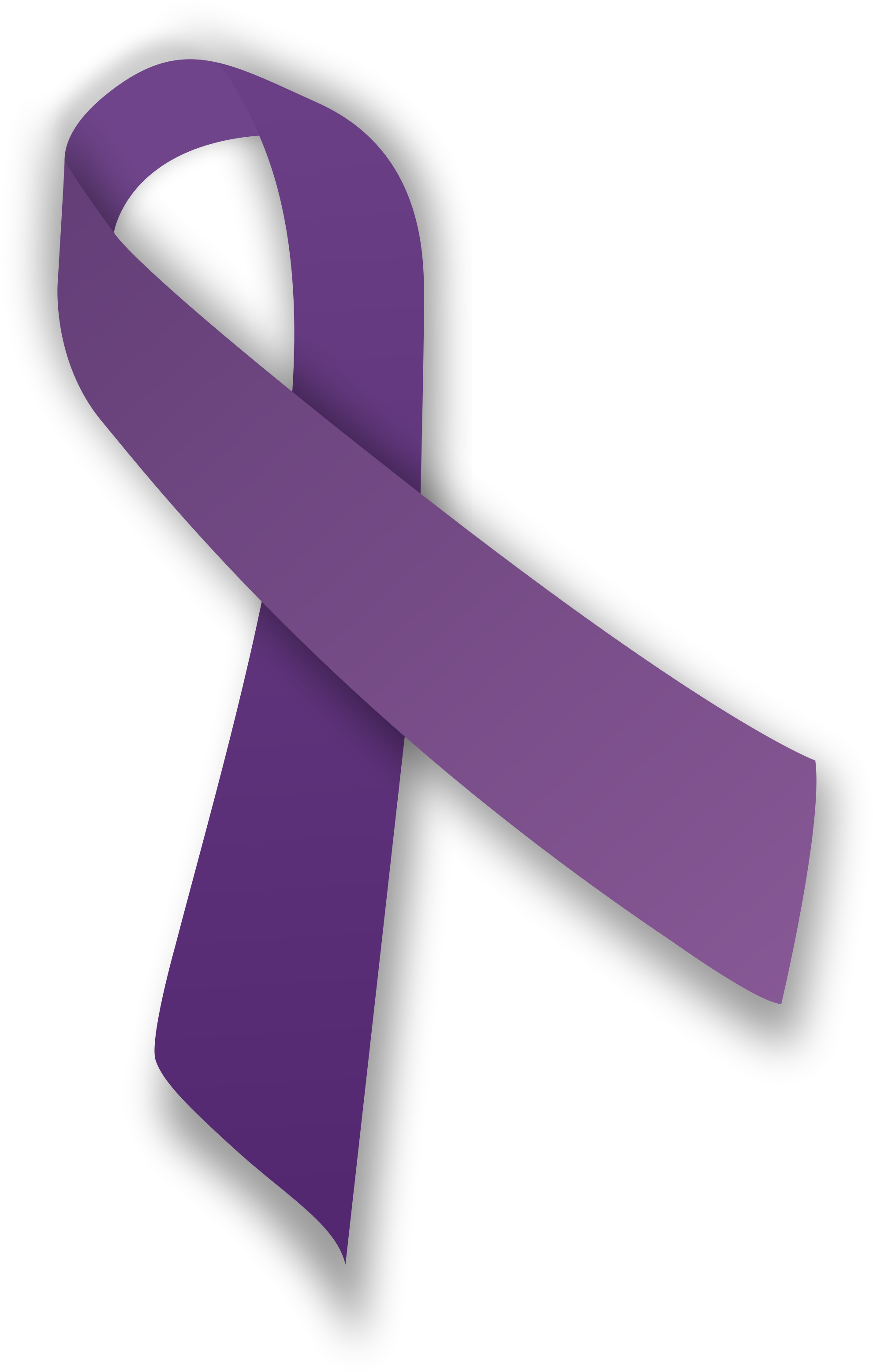 Wear Purple Today For Epilepsy Awareness Thebaynet - National Cancer Survivors Day Ribbon (2000x3135)