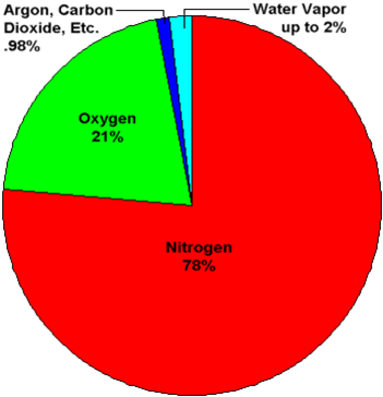The Percentage Of Other Gases Include Various Greenhouse - Composition Of The Earth's Atmosphere (375x388)