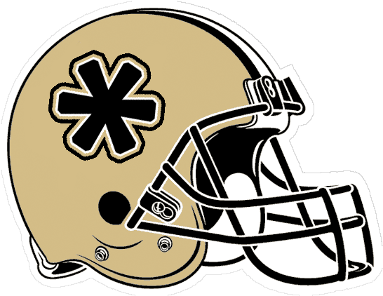 We Can't Help That The Other Teams Are Little Bitches - Nfl Detroit Lions Logo (560x436)