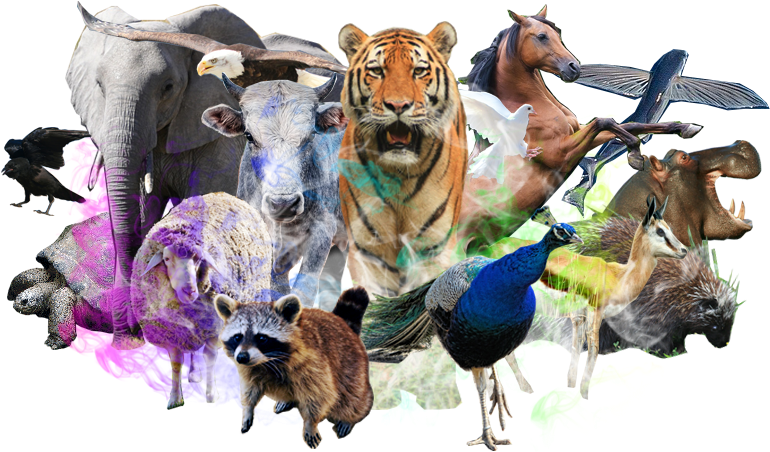 Your Life Metaphor - Tiger At The Zoo Big Cat Journal: 150 Page Lined Notebook/diary (800x451)