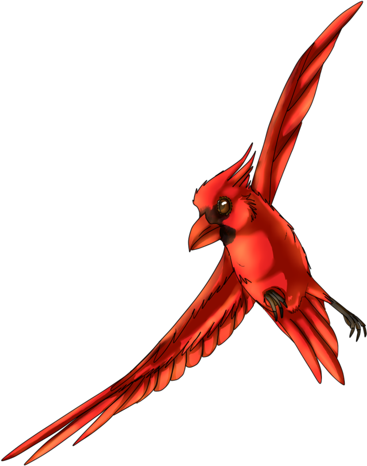 Martyr By Seagaull - Northern Cardinal (839x952)