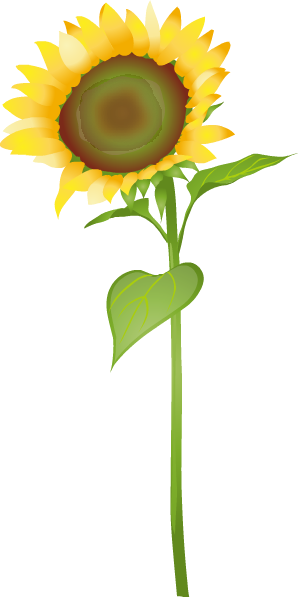 Sunflower - Sunflower (298x597)