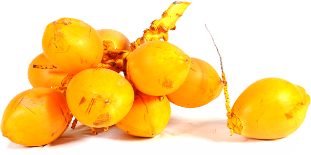 Compared With Varieties Of Aerated Water That Are Usually - Yellow Coconut Water (607x302)